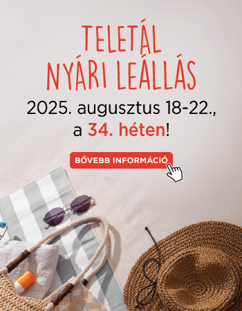 2025 Nyári leállás 