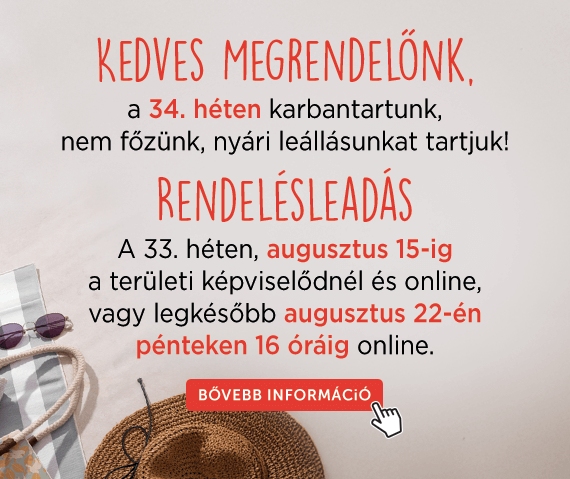 2025 Nyári leállás
