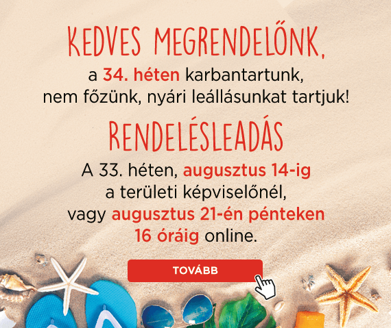 Nyári leállás